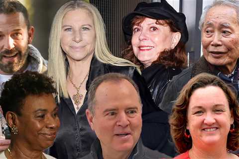 Ben Affleck, Barbra Streisand, Other Celebs Donate Big in CA Senate Race