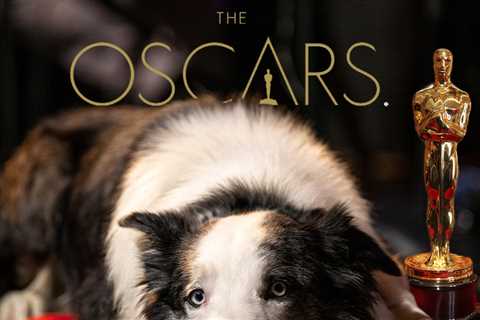 'Anatomy of a Fall' Dog Cameo at Luncheon Pissed Off Oscar Contenders