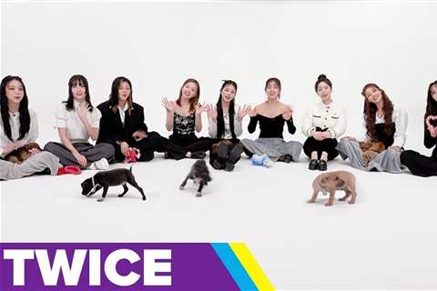 TWICE Played With Puppies, And It's My New Favorite Thing