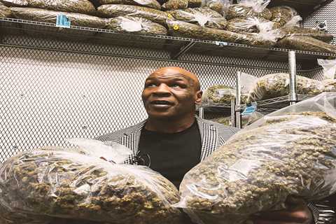 Mike Tyson selling edibles shaped like a chewed ear — and now you can get them in New York