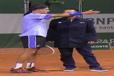 Controversy erupts after French Open player drills fan with ball