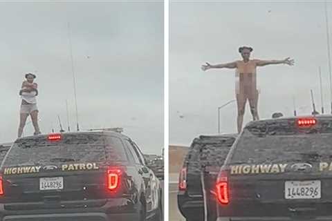 Woman In L.A. Police Chase Gets Naked On Freeway, CHP Bears Witness