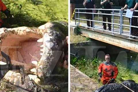 Florida Gator Who Ate Homeless Woman Dissected, New Body Cam Video Shows Scene