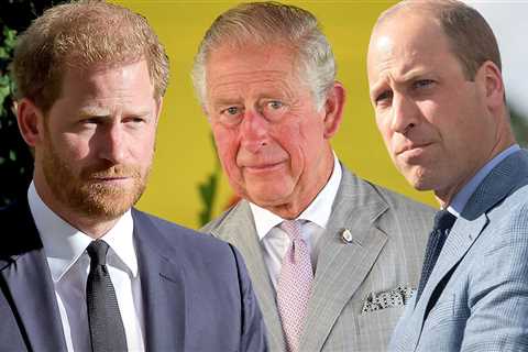 Prince Harry Says Tabloids Are 'Central Piece' in Royal Family Feud
