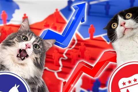 J.D. Vance 'Childless Cat Lady' Clip Affecting Pet Adoptions, Animal Shelters Say