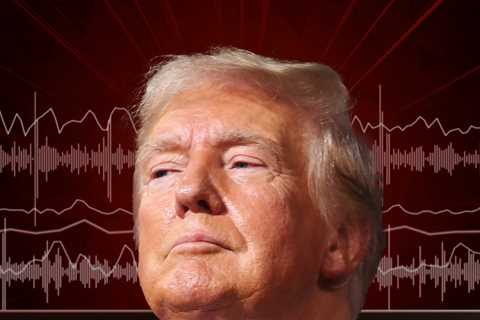 Donald Trump Praises Civilian Who Helped Cops Find Shooting Attempt Suspect
