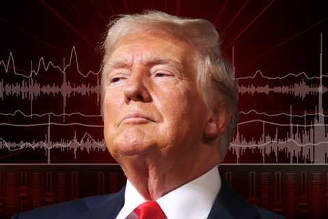 Donald Trump Praises Civilian Who Helped Cops Discover Capturing Try Suspect