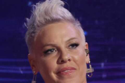 Pink Postpones Upcoming Concerts, Cites 'Reasons Beyond My Control'