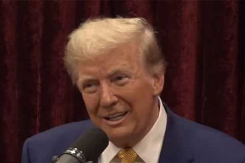 Donald Trump Pesters Joe Rogan for Endorsement On Podcast