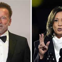 Arnold Schwarzenegger, Former Republican Governor, Endorsed Kamala Harris For President