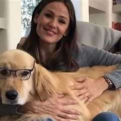 Jennifer Garner's Dog Birdie Dies But Not Before Daughter Says Goodbye