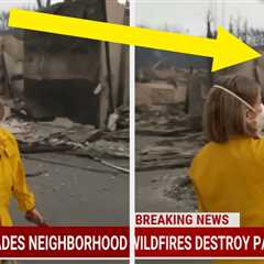 After This MSNBC Anchor Set Out On Foot To Find Her Childhood Home In The California Fires, She Was ..