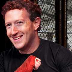 Mark Zuckerberg Still Wants Pro MMA Fight