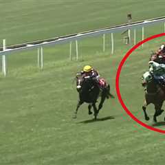 Jockey whips rival at end of race in wild brawl