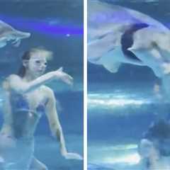 Giant Fish Viciously Attacks Mermaid in Chinese Aquarium, on Video