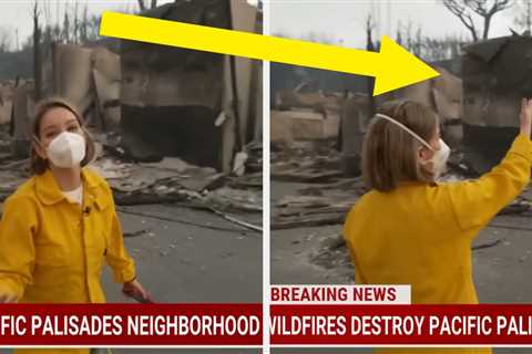 After This MSNBC Anchor Set Out On Foot To Find Her Childhood Home In The California Fires, She Was ..