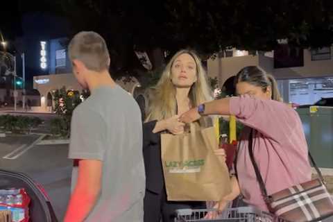 Housing Individuals Affected by L.A. Fires: Angelina Jolie’s Plans