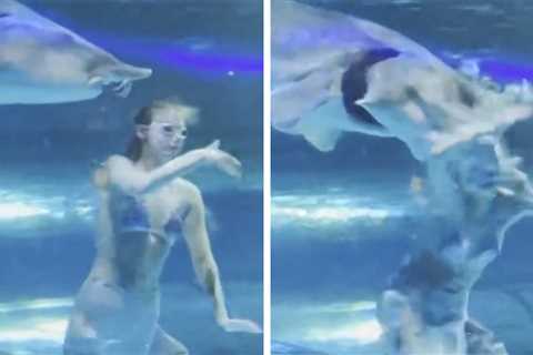 Giant Fish Viciously Attacks Mermaid in Chinese Aquarium, on Video