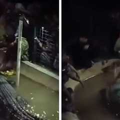 Crocodile Attacks Elderly Man in Indonesia, Terrifying Moment Caught on Video