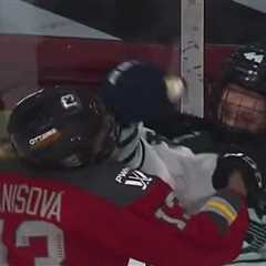 Pro Women's Hockey Players Throw Hands in Fight During Game