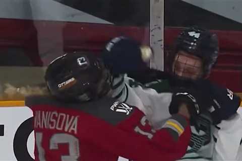 Pro Women's Hockey Players Throw Hands in Fight During Game