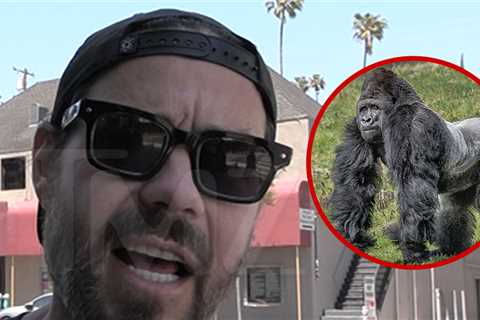 'Jackass' Star Chris Pontius Says a Gorilla Would Decimate 100 Men
