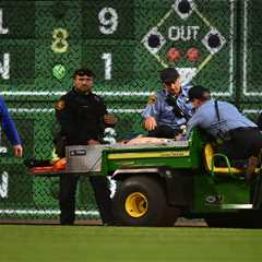 Fan at Pirates game falls 21 feet onto playing field in scary scene