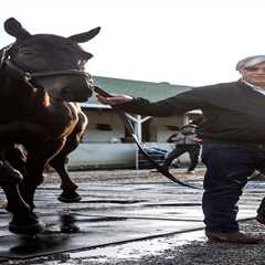 Notorious horse trainer Bob Baffert’s rise, fall and return to the Kentucky Derby is ‘deliberate..