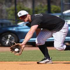 DJ LeMahieu’s return to Yankees delayed by inclement weather at rehab assignment