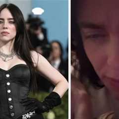 Billie Eilish Just Hit Back At People Trashing Her Met Gala Outfit By Pointing Out That She Didn’t..