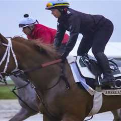 2025 Preakness Stakes predictions: Exotics picks, odds at Pimlico