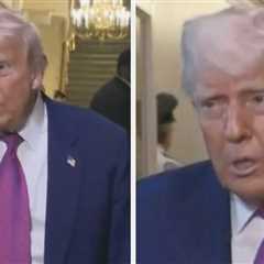 Would Be Nice If He Spoke To Putin That Way — The Internet Is Rolling Its Eyes After Donald Trump..