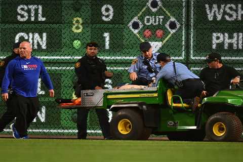 Fan at Pirates game falls 21 feet onto playing field in scary scene