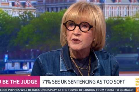 Analytical Insight: Anne Robinson's Unflinching Stand on UK Sentencing Sparks Debate
