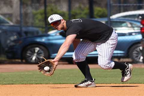 DJ LeMahieu’s return to Yankees delayed by inclement weather at rehab assignment
