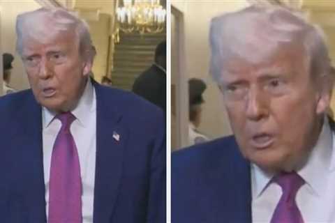 Would Be Nice If He Spoke To Putin That Way — The Internet Is Rolling Its Eyes After Donald Trump..