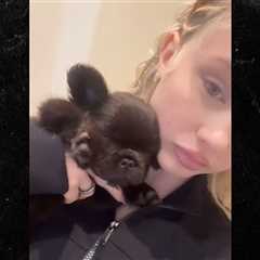 Alabama Barker Shares Video of New French Bulldog Puppy