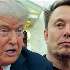 Elon Musk Nukes Donald Trump With Claim President's in Epstein Files