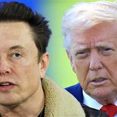 Elon Musk Deletes Epstein Post, President Trump Turns Down Heat
