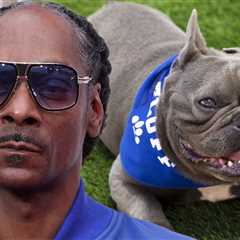 Snoop Dogg Mourns Loss of French Bulldog Juelz, Gift From Wiz Khalifa