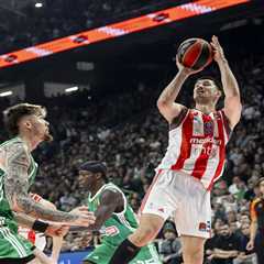 Meet Luka Mitrovic, the 32-year-old 2015 draftee acquired in Knicks’ second-round swap