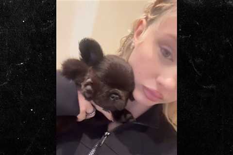 Alabama Barker Shares Video of New French Bulldog Puppy