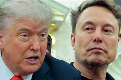 Elon Musk Nukes Donald Trump With Claim President's in Epstein Files