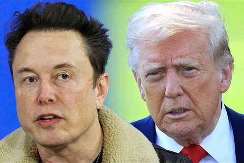 Elon Musk Deletes Epstein Post, President Trump Turns Down Heat