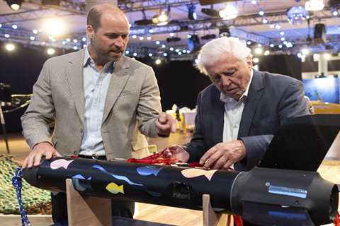 Prince William and Sir David Attenborough's Call for Ocean Conservation