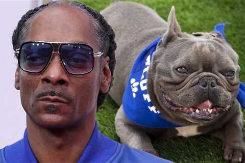 Snoop Dogg Mourns Loss of French Bulldog Juelz, Gift From Wiz Khalifa