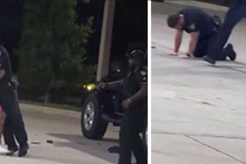 Florida Sheriff's Deputy Accidentally Shoots Partner With Taser, on Video