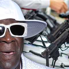 Flavor Flav Says U.S. Needs To Ban Guns, 'I Fear For My Kids'