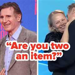 After Stepping Out Together With Their Kids, Liam Neeson And Pamela Anderson Were Asked If They’re..
