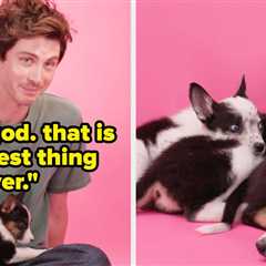 Logan Lerman Just Did The Puppy Interview, And It's Extremely Wholesome